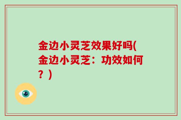 金边小灵芝效果好吗(金边小灵芝:功效如何?)-第1张图片-破壁灵芝孢子粉研究指南 金边小灵芝效果好吗(金边小灵芝:功效如何?)-第1张图片-破壁灵芝孢子粉研究指南