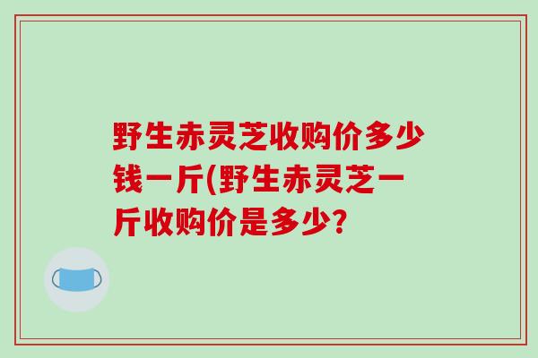 野生赤灵芝收购价多少钱一斤(野生赤灵芝一斤收购价是多少？-第1张图片-破壁灵芝孢子粉研究指南