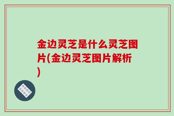 金边灵芝是什么灵芝图片(金边灵芝图片解析)-第1张图片-破壁灵芝孢子粉研究指南 金边灵芝是什么灵芝图片(金边灵芝图片解析)-第1张图片-破壁灵芝孢子粉研究指南
