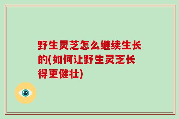野生灵芝怎么继续生长的(如何让野生灵芝长得更健壮)-第1张图片-破壁灵芝孢子粉研究指南 野生灵芝怎么继续生长的(如何让野生灵芝长得更健壮)-第1张图片-破壁灵芝孢子粉研究指南