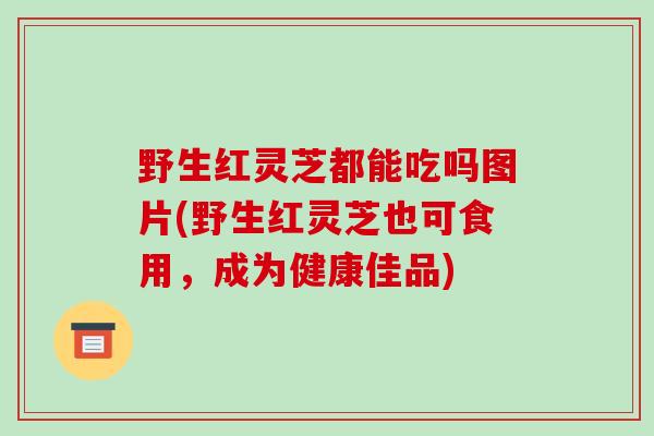 野生红灵芝都能吃吗图片(野生红灵芝也可食用,成为健康佳品)-第1张图片-破壁灵芝孢子粉研究指南 野生红灵芝都能吃吗图片(野生红灵芝也可食用,成为健康佳品)-第1张图片-破壁灵芝孢子粉研究指南