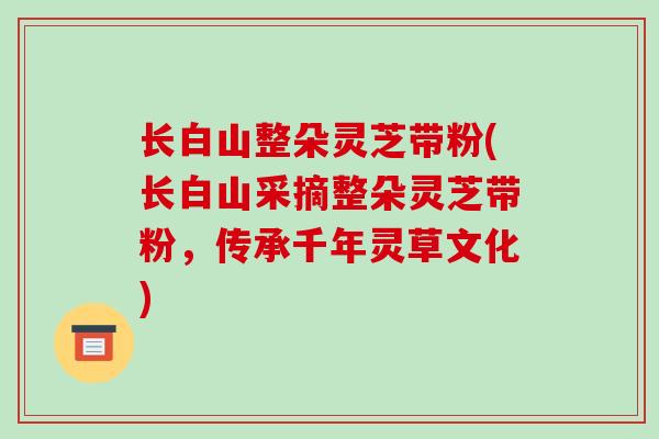 长白山整朵灵芝带粉(长白山采摘整朵灵芝带粉,传承千年灵草文化)-第1张图片-破壁灵芝孢子粉研究指南 长白山整朵灵芝带粉(长白山采摘整朵灵芝带粉,传承千年灵草文化)-第1张图片-破壁灵芝孢子粉研究指南