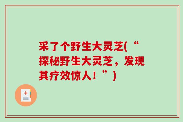 采了个野生大灵芝(“探秘野生大灵芝,发现其疗效惊人!”)-第1张图片-破壁灵芝孢子粉研究指南 采了个野生大灵芝(“探秘野生大灵芝,发现其疗效惊人!”)-第1张图片-破壁灵芝孢子粉研究指南