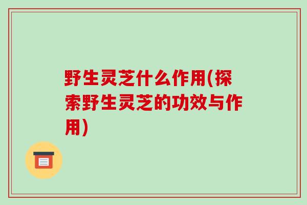 野生灵芝什么作用(探索野生灵芝的功效与作用)-第1张图片-破壁灵芝孢子粉研究指南