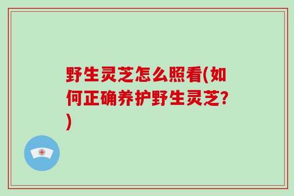 野生灵芝怎么照看(如何正确养护野生灵芝?)-第1张图片-破壁灵芝孢子粉研究指南 野生灵芝怎么照看(如何正确养护野生灵芝?)-第1张图片-破壁灵芝孢子粉研究指南
