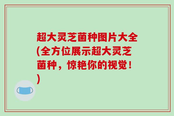 超大灵芝菌种图片大全(全方位展示超大灵芝菌种,惊艳你的视觉!)-第1张图片-破壁灵芝孢子粉研究指南 超大灵芝菌种图片大全(全方位展示超大灵芝菌种,惊艳你的视觉!)-第1张图片-破壁灵芝孢子粉研究指南