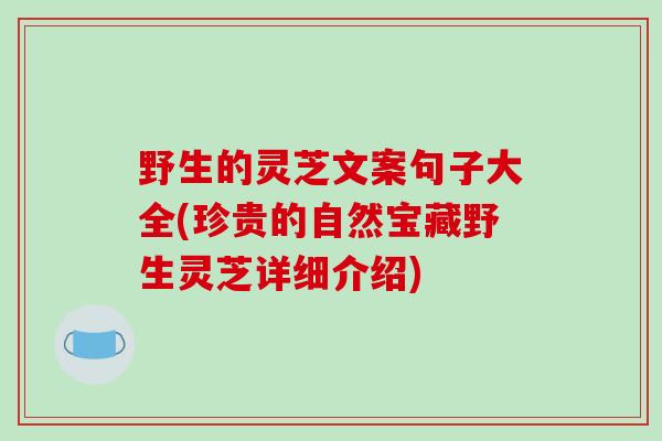 野生的灵芝文案句子大全(珍贵的自然宝藏野生灵芝详细介绍)-第1张图片-破壁灵芝孢子粉研究指南