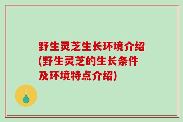 野生灵芝生长环境介绍(野生灵芝的生长条件及环境特点介绍)-第1张图片-破壁灵芝孢子粉研究指南 野生灵芝生长环境介绍(野生灵芝的生长条件及环境特点介绍)-第1张图片-破壁灵芝孢子粉研究指南