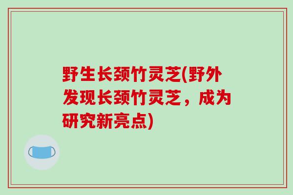 野生长颈竹灵芝(野外发现长颈竹灵芝,成为研究新亮点)-第1张图片-破壁灵芝孢子粉研究指南 野生长颈竹灵芝(野外发现长颈竹灵芝,成为研究新亮点)-第1张图片-破壁灵芝孢子粉研究指南