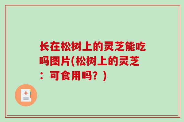 长在松树上的灵芝能吃吗图片(松树上的灵芝:可食用吗?)-第1张图片-破壁灵芝孢子粉研究指南 长在松树上的灵芝能吃吗图片(松树上的灵芝:可食用吗?)-第1张图片-破壁灵芝孢子粉研究指南