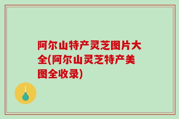 阿尔山特产灵芝图片大全(阿尔山灵芝特产美图全收录)-第1张图片-破壁灵芝孢子粉研究指南