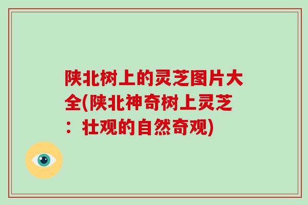 陕北树上的灵芝图片大全(陕北神奇树上灵芝：壮观的自然奇观)-第1张图片-破壁灵芝孢子粉研究指南