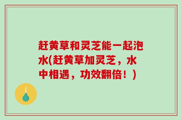 赶黄草和灵芝能一起泡水(赶黄草加灵芝,水中相遇,功效翻倍!)-第1张图片-破壁灵芝孢子粉研究指南 赶黄草和灵芝能一起泡水(赶黄草加灵芝,水中相遇,功效翻倍!)-第1张图片-破壁灵芝孢子粉研究指南