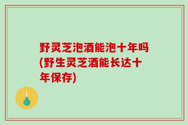 野灵芝泡酒能泡十年吗(野生灵芝酒能长达十年保存)-第1张图片-破壁灵芝孢子粉研究指南 野灵芝泡酒能泡十年吗(野生灵芝酒能长达十年保存)-第1张图片-破壁灵芝孢子粉研究指南