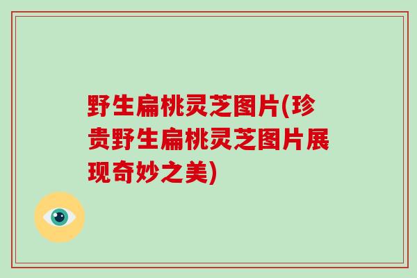 野生扁桃灵芝图片(珍贵野生扁桃灵芝图片展现奇妙之美)-第1张图片-破壁灵芝孢子粉研究指南 野生扁桃灵芝图片(珍贵野生扁桃灵芝图片展现奇妙之美)-第1张图片-破壁灵芝孢子粉研究指南