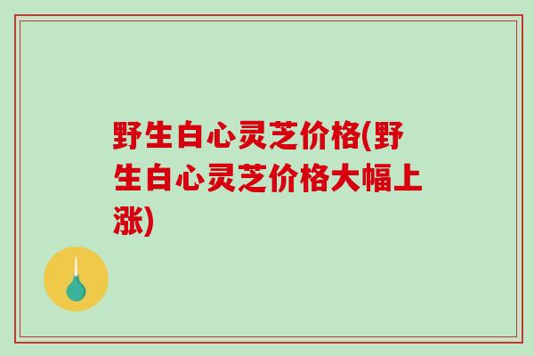 野生白心灵芝价格(野生白心灵芝价格大幅上涨)-第1张图片-破壁灵芝孢子粉研究指南 野生白心灵芝价格(野生白心灵芝价格大幅上涨)-第1张图片-破壁灵芝孢子粉研究指南