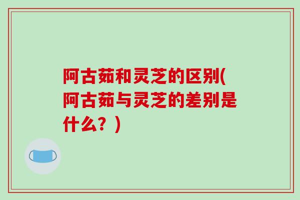 阿古茹和灵芝的区别(阿古茹与灵芝的差别是什么?)-第1张图片-破壁灵芝孢子粉研究指南 阿古茹和灵芝的区别(阿古茹与灵芝的差别是什么?)-第1张图片-破壁灵芝孢子粉研究指南