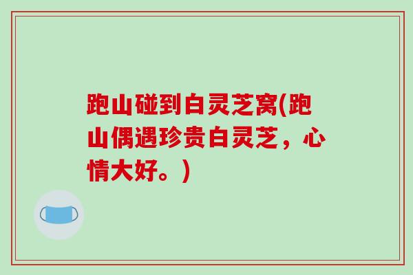 跑山碰到白灵芝窝(跑山偶遇珍贵白灵芝,心情大好。)-第1张图片-破壁灵芝孢子粉研究指南 跑山碰到白灵芝窝(跑山偶遇珍贵白灵芝,心情大好。)-第1张图片-破壁灵芝孢子粉研究指南