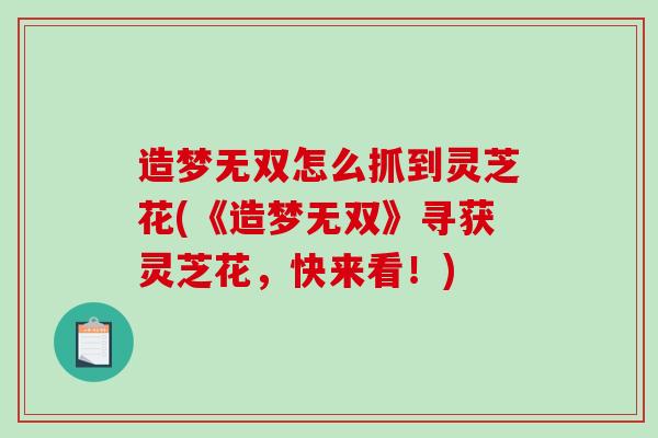 造梦无双怎么抓到灵芝花(《造梦无双》寻获灵芝花,快来看!)-第1张图片-破壁灵芝孢子粉研究指南 造梦无双怎么抓到灵芝花(《造梦无双》寻获灵芝花,快来看!)-第1张图片-破壁灵芝孢子粉研究指南