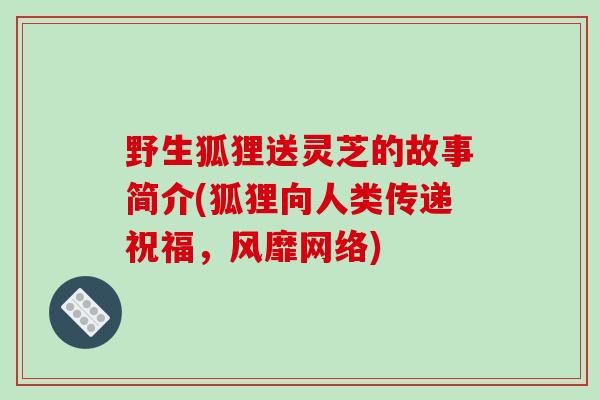野生狐狸送灵芝的故事简介(狐狸向人类传递祝福，风靡网络)-第1张图片-破壁灵芝孢子粉研究指南