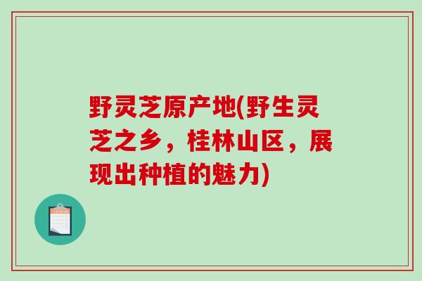 野灵芝原产地(野生灵芝之乡，桂林山区，展现出种植的魅力)-第1张图片-破壁灵芝孢子粉研究指南