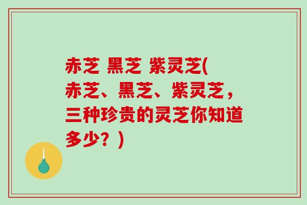 赤芝 黑芝 紫灵芝(赤芝、黑芝、紫灵芝,三种珍贵的灵芝你知道多少?)-第1张图片-破壁灵芝孢子粉研究指南 赤芝 黑芝 紫灵芝(赤芝、黑芝、紫灵芝,三种珍贵的灵芝你知道多少?)-第1张图片-破壁灵芝孢子粉研究指南