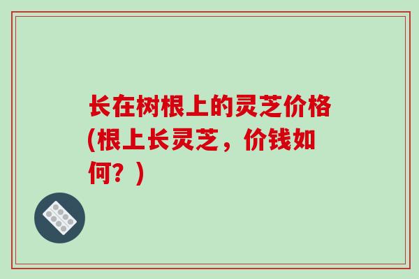 长在树根上的灵芝价格(根上长灵芝,价钱如何?)-第1张图片-破壁灵芝孢子粉研究指南 长在树根上的灵芝价格(根上长灵芝,价钱如何?)-第1张图片-破壁灵芝孢子粉研究指南