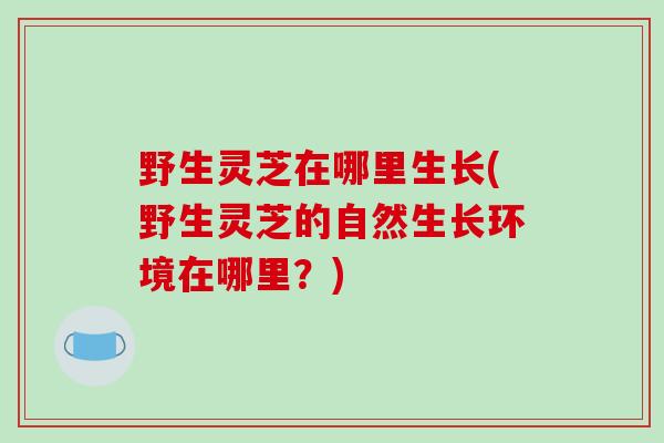 野生灵芝在哪里生长(野生灵芝的自然生长环境在哪里?)-第1张图片-破壁灵芝孢子粉研究指南 野生灵芝在哪里生长(野生灵芝的自然生长环境在哪里?)-第1张图片-破壁灵芝孢子粉研究指南