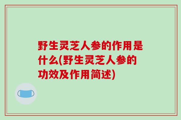野生灵芝人参的作用是什么(野生灵芝人参的功效及作用简述)-第1张图片-破壁灵芝孢子粉研究指南