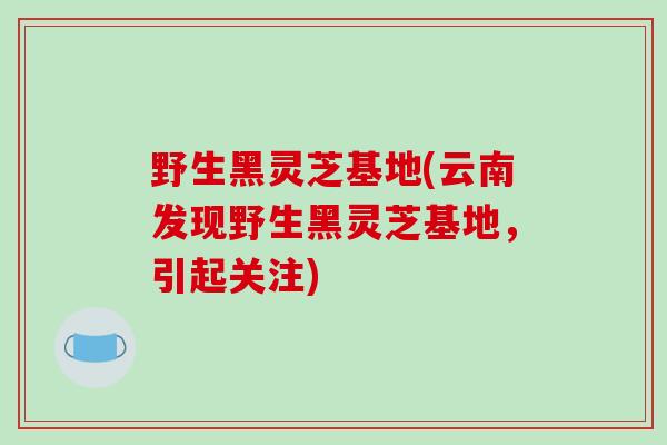 野生黑灵芝基地(云南发现野生黑灵芝基地,引起关注)-第1张图片-破壁灵芝孢子粉研究指南 野生黑灵芝基地(云南发现野生黑灵芝基地,引起关注)-第1张图片-破壁灵芝孢子粉研究指南