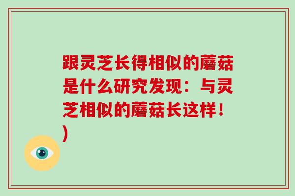 跟灵芝长得相似的蘑菇是什么研究发现:与灵芝相似的蘑菇长这样!)-第1张图片-破壁灵芝孢子粉研究指南 跟灵芝长得相似的蘑菇是什么研究发现:与灵芝相似的蘑菇长这样!)-第1张图片-破壁灵芝孢子粉研究指南