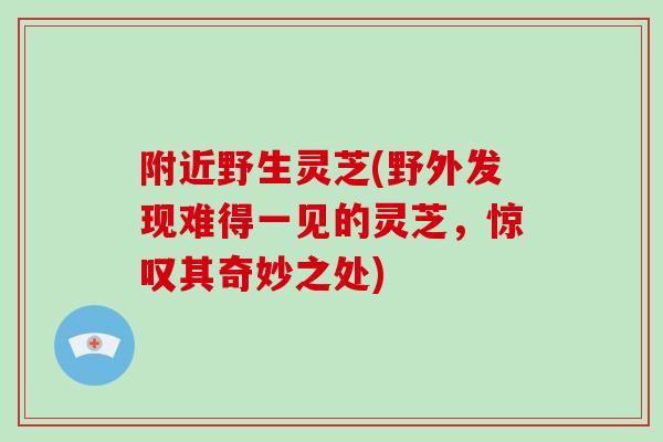 附近野生灵芝(野外发现难得一见的灵芝,惊叹其奇妙之处)-第1张图片-破壁灵芝孢子粉研究指南 附近野生灵芝(野外发现难得一见的灵芝,惊叹其奇妙之处)-第1张图片-破壁灵芝孢子粉研究指南