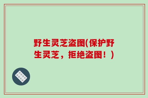 野生灵芝盗图(保护野生灵芝,拒绝盗图!)-第1张图片-破壁灵芝孢子粉研究指南 野生灵芝盗图(保护野生灵芝,拒绝盗图!)-第1张图片-破壁灵芝孢子粉研究指南
