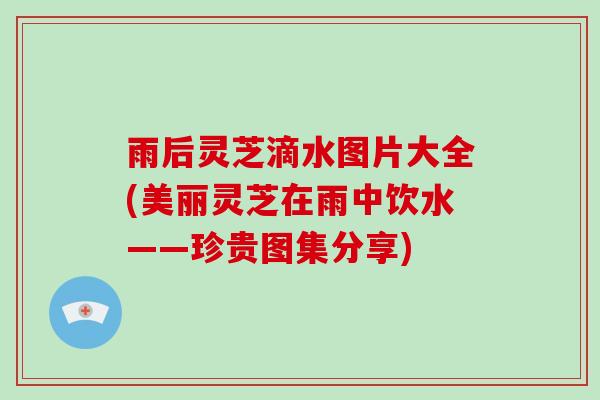 雨后灵芝滴水图片大全(美丽灵芝在雨中饮水——珍贵图集分享)-第1张图片-破壁灵芝孢子粉研究指南 雨后灵芝滴水图片大全(美丽灵芝在雨中饮水——珍贵图集分享)-第1张图片-破壁灵芝孢子粉研究指南