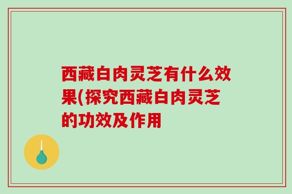西藏白肉灵芝有什么效果(探究西藏白肉灵芝的功效及作用-第1张图片-破壁灵芝孢子粉研究指南 西藏白肉灵芝有什么效果(探究西藏白肉灵芝的功效及作用-第1张图片-破壁灵芝孢子粉研究指南