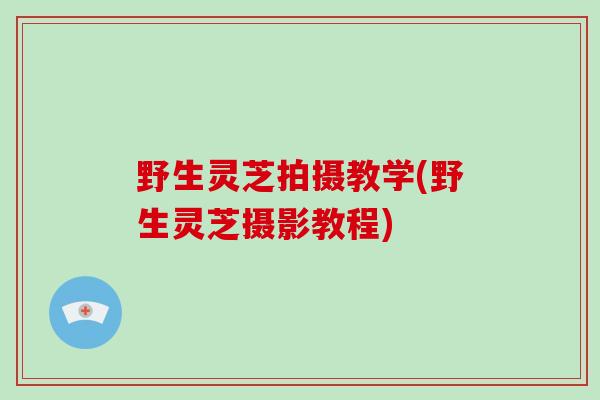 野生灵芝拍摄教学(野生灵芝摄影教程)-第1张图片-破壁灵芝孢子粉研究指南 野生灵芝拍摄教学(野生灵芝摄影教程)-第1张图片-破壁灵芝孢子粉研究指南