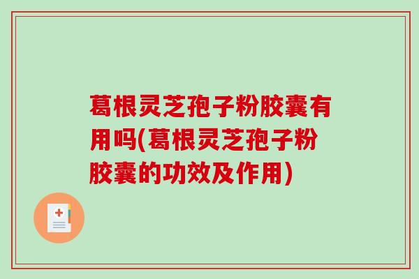 葛根灵芝孢子粉胶囊有用吗(葛根灵芝孢子粉胶囊的功效及作用)-第1张图片-破壁灵芝孢子粉研究指南 葛根灵芝孢子粉胶囊有用吗(葛根灵芝孢子粉胶囊的功效及作用)-第1张图片-破壁灵芝孢子粉研究指南