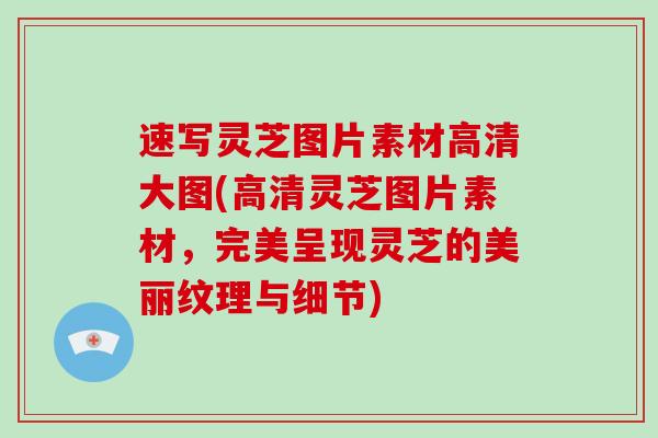 速写灵芝图片素材高清大图(高清灵芝图片素材，完美呈现灵芝的美丽纹理与细节)-第1张图片-破壁灵芝孢子粉研究指南