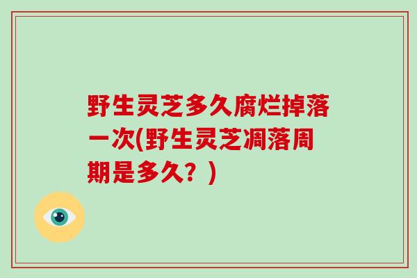 野生灵芝多久腐烂掉落一次(野生灵芝凋落周期是多久？)-第1张图片-破壁灵芝孢子粉研究指南