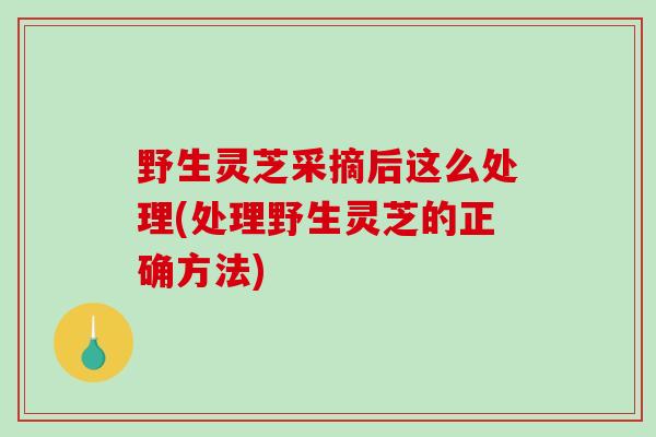 野生灵芝采摘后这么处理(处理野生灵芝的正确方法)-第1张图片-破壁灵芝孢子粉研究指南 野生灵芝采摘后这么处理(处理野生灵芝的正确方法)-第1张图片-破壁灵芝孢子粉研究指南