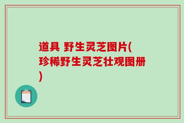 道具 野生灵芝图片(珍稀野生灵芝壮观图册)-第1张图片-破壁灵芝孢子粉研究指南