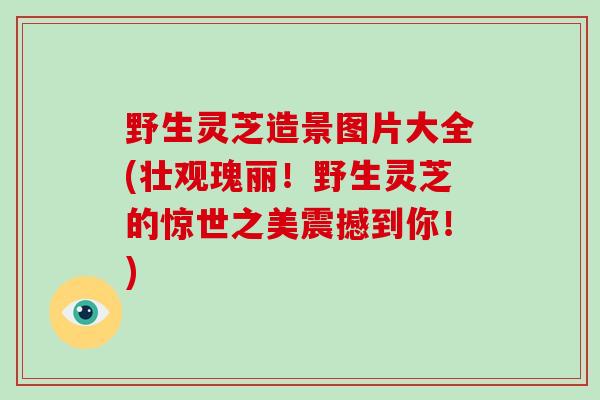 野生灵芝造景图片大全(壮观瑰丽！野生灵芝的惊世之美震撼到你！)-第1张图片-破壁灵芝孢子粉研究指南