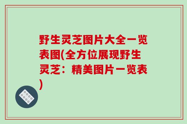 野生灵芝图片大全一览表图(全方位展现野生灵芝:精美图片一览表)-第1张图片-破壁灵芝孢子粉研究指南 野生灵芝图片大全一览表图(全方位展现野生灵芝:精美图片一览表)-第1张图片-破壁灵芝孢子粉研究指南