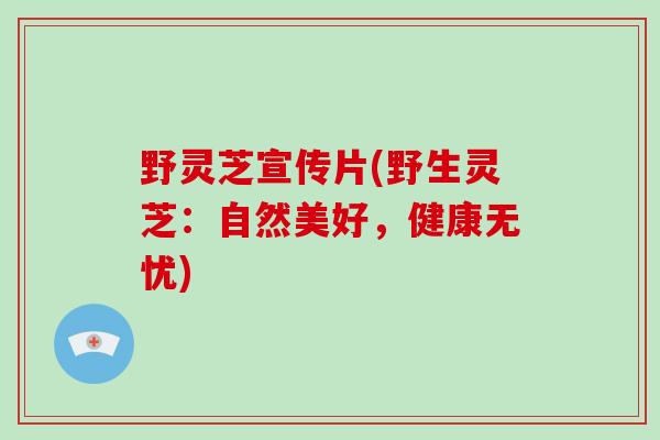 野灵芝宣传片(野生灵芝:自然美好,健康无忧)-第1张图片-破壁灵芝孢子粉研究指南 野灵芝宣传片(野生灵芝:自然美好,健康无忧)-第1张图片-破壁灵芝孢子粉研究指南