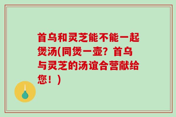 首乌和灵芝能不能一起煲汤(同煲一壶？首乌与灵芝的汤谊合营献给您！)-第1张图片-破壁灵芝孢子粉研究指南