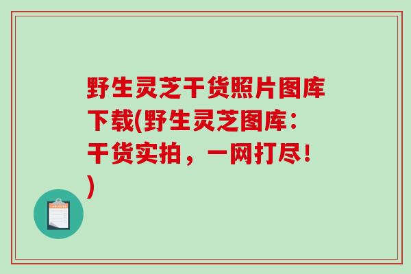 野生灵芝干货照片图库下载(野生灵芝图库:干货实拍,一网打尽!)-第1张图片-破壁灵芝孢子粉研究指南 野生灵芝干货照片图库下载(野生灵芝图库:干货实拍,一网打尽!)-第1张图片-破壁灵芝孢子粉研究指南