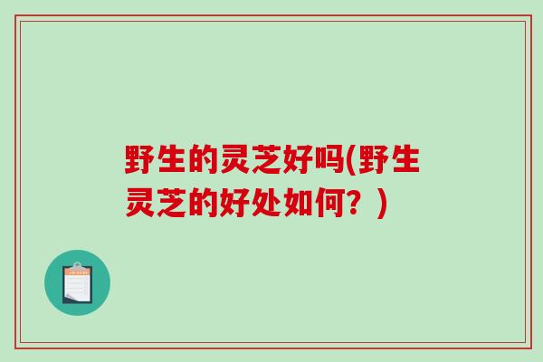 野生的灵芝好吗(野生灵芝的好处如何?)-第1张图片-破壁灵芝孢子粉研究指南 野生的灵芝好吗(野生灵芝的好处如何?)-第1张图片-破壁灵芝孢子粉研究指南
