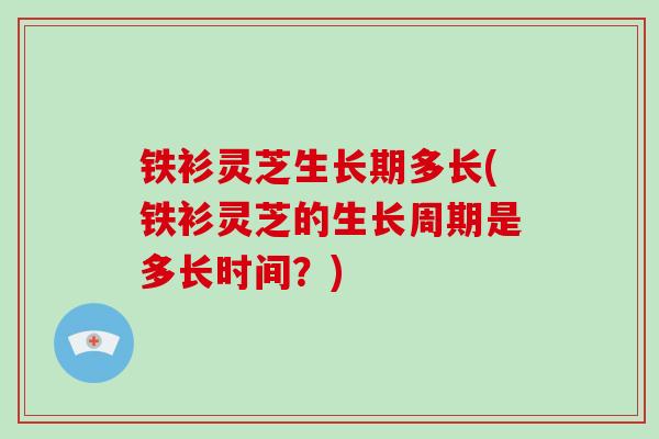 铁衫灵芝生长期多长(铁衫灵芝的生长周期是多长时间?)-第1张图片-破壁灵芝孢子粉研究指南 铁衫灵芝生长期多长(铁衫灵芝的生长周期是多长时间?)-第1张图片-破壁灵芝孢子粉研究指南