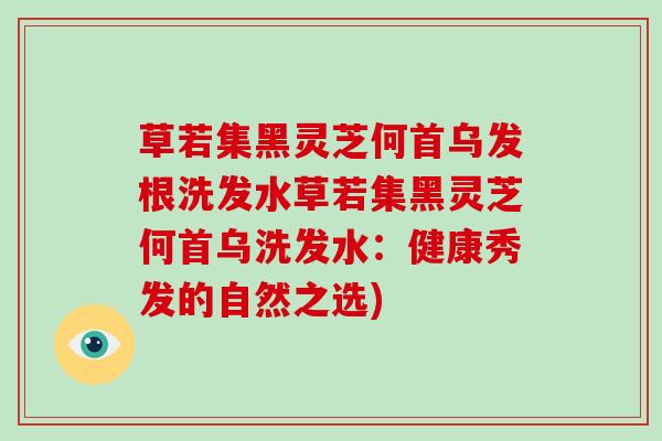 草若集黑灵芝何首乌发根洗发水草若集黑灵芝何首乌洗发水:健康秀发的自然之选)-第1张图片-破壁灵芝孢子粉研究指南 草若集黑灵芝何首乌发根洗发水草若集黑灵芝何首乌洗发水:健康秀发的自然之选)-第1张图片-破壁灵芝孢子粉研究指南