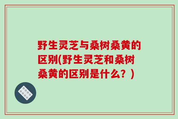 野生灵芝与桑树桑黄的区别(野生灵芝和桑树桑黄的区别是什么?)-第1张图片-破壁灵芝孢子粉研究指南 野生灵芝与桑树桑黄的区别(野生灵芝和桑树桑黄的区别是什么?)-第1张图片-破壁灵芝孢子粉研究指南